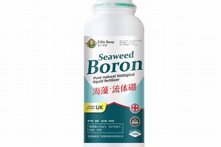 草莓花芽分化用什么药？