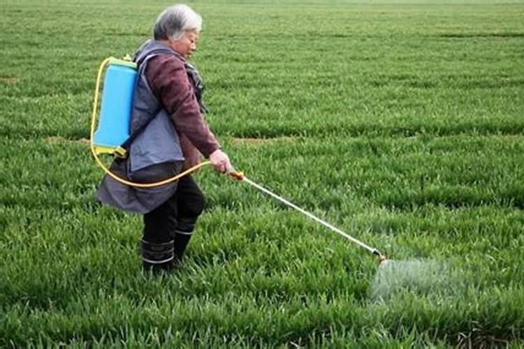 芸苔素内酯可以跟绿 颖矿物油混用吗