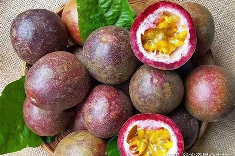 室内养花用什么花盆;花盆养花用什么土最好