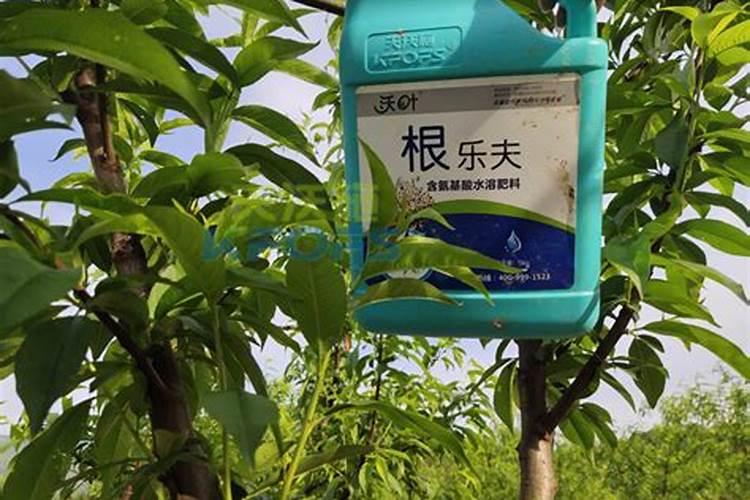 摩力方科技是做什么的