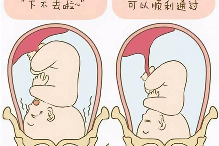 磷酸三钙是什么