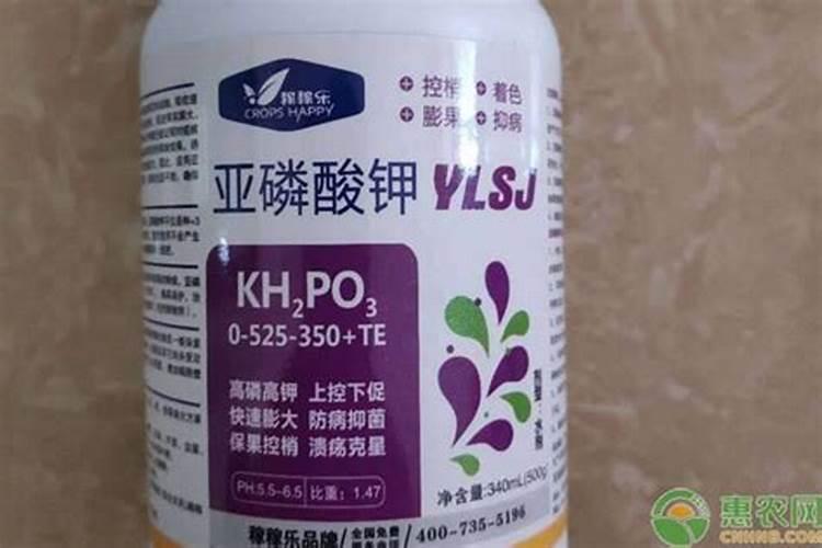 果树缺铁用什么肥料好 补铁追肥方法有哪些