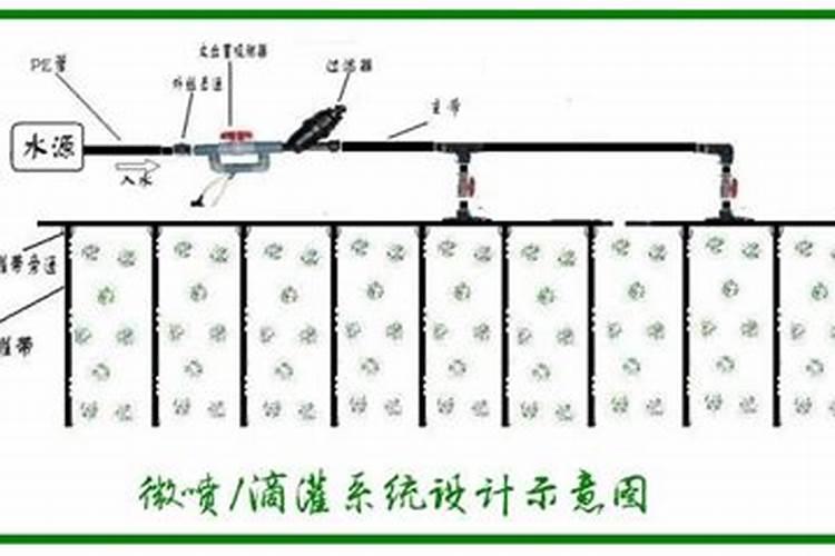 干货收藏水肥一体化(滴灌)工程详细全解!