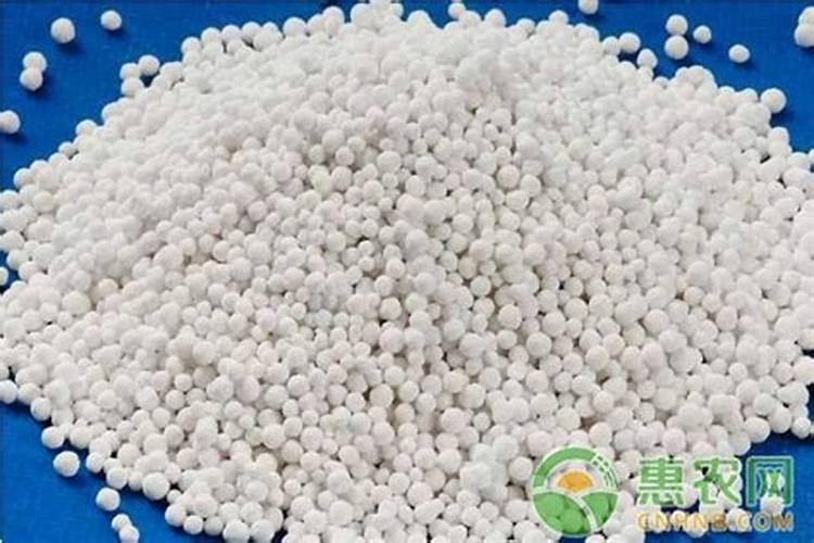 硼肥在帮助农作物增产上起到了什么作用？