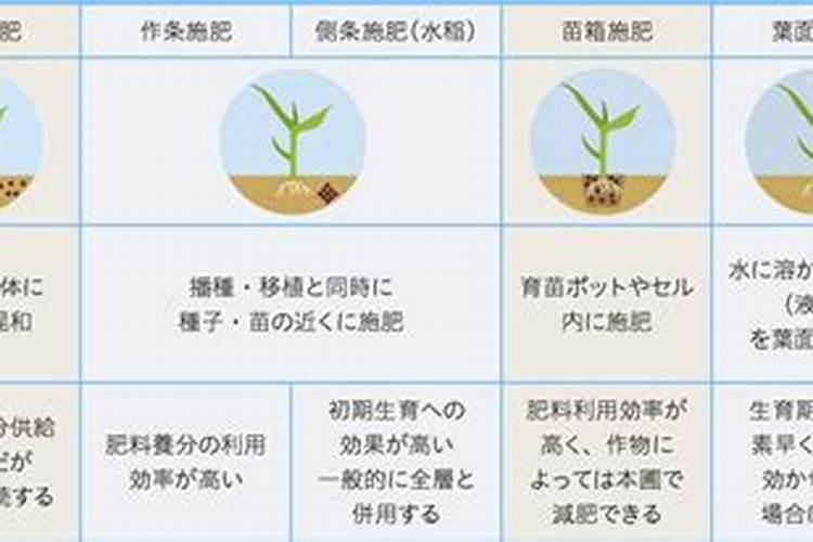 茶叶怎么预防冻害？茶树施什么肥比较好？