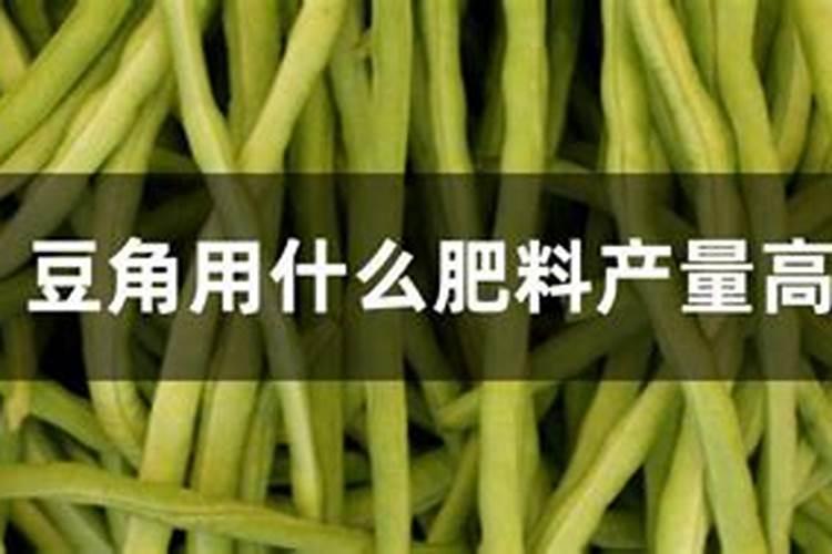 豆角出苗后的护理