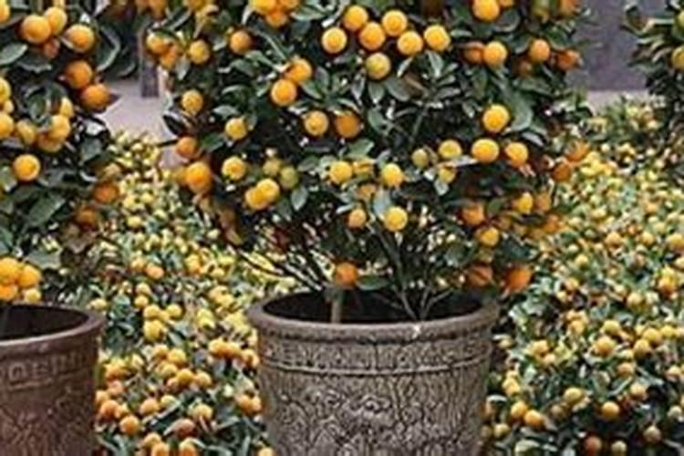 想要拿到登记证,这些大量元素水溶肥料检测指标要达到