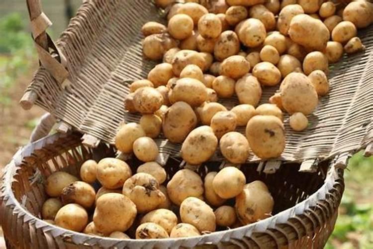 含钙硫酸镁溶液采用什么方法进行处理？