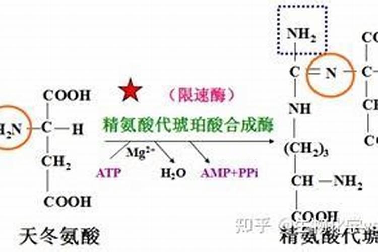 氨基酸对鱼有什么作用