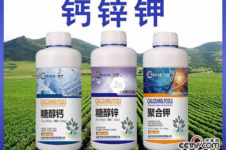 赤霉酸和芸苔素可以一起喷四季葱吗