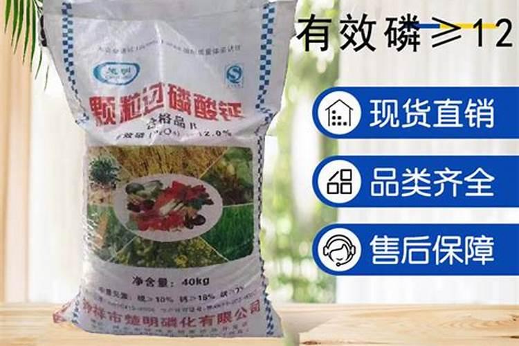 油茶树用什么肥料比较好