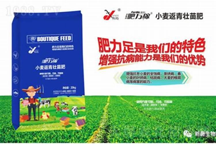 油菜什么时候打硼砂