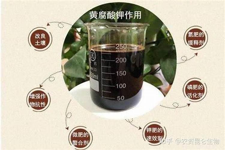 樱桃树几月份上水溶肥