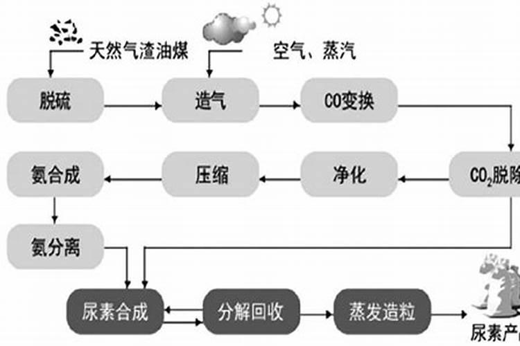 什么时候收玉米合适？你是如何收玉米的？