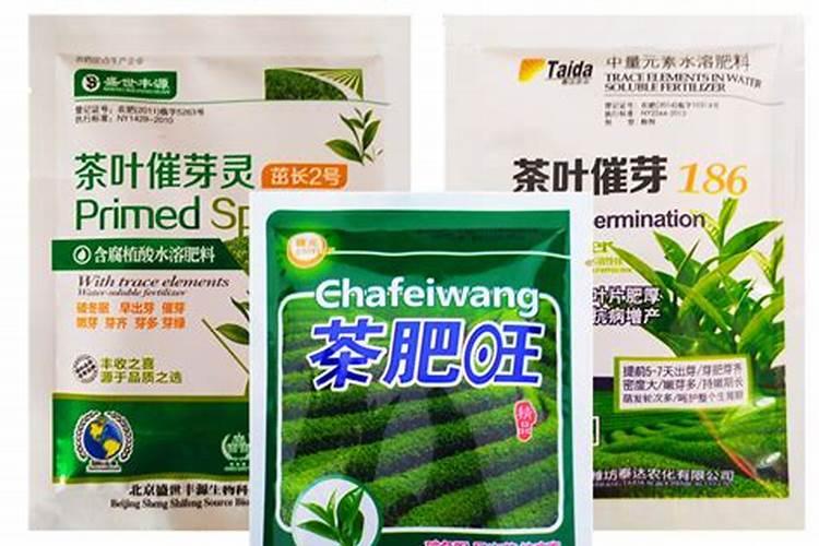 叶面肥什么时间喷最好