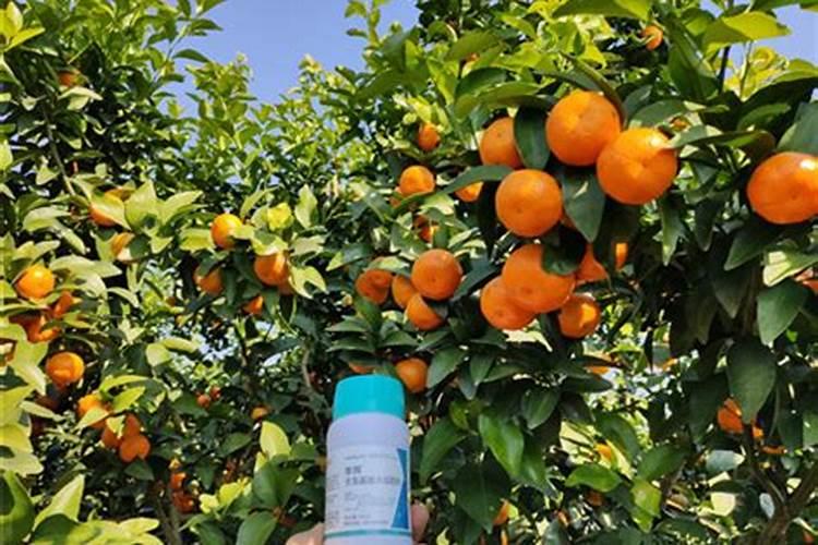 烟草应该施什么类型的氮肥 烟草施肥的的技术要点介绍