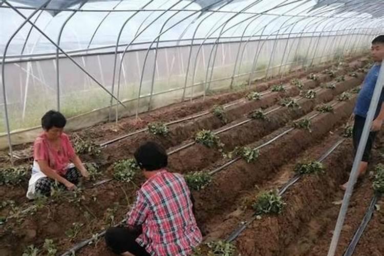 什么叫TOC总有机碳分析仪