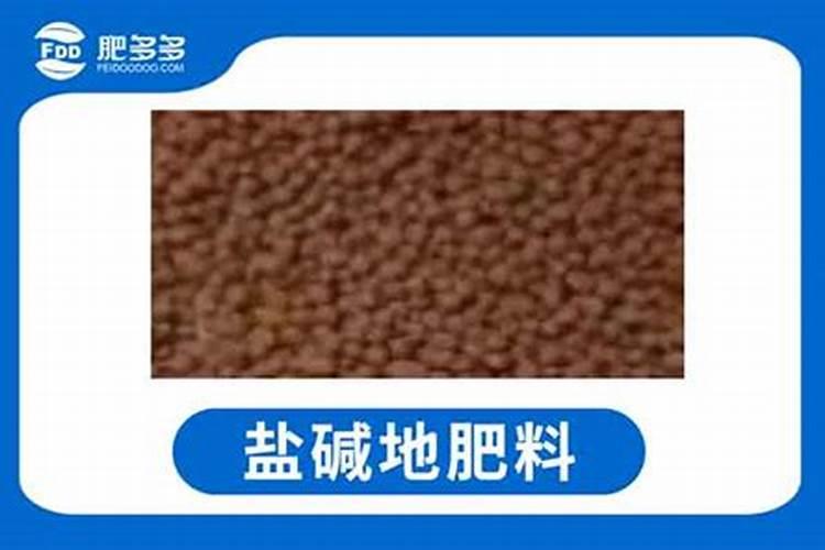 盐碱地适合种什么作物？盐碱地施肥要注意哪些方面呢？