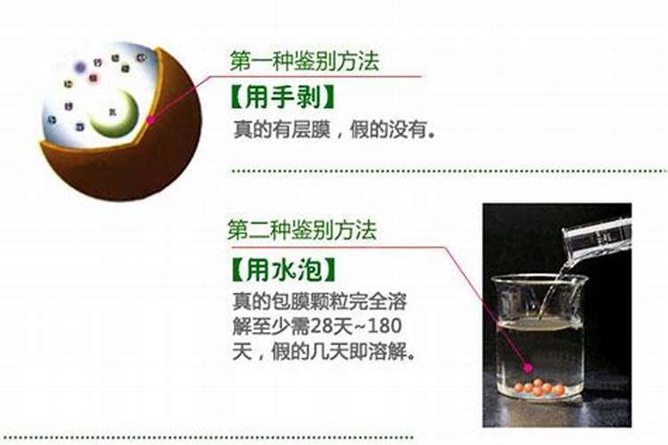 甜菜高产施肥技巧
