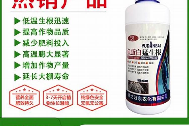 小香芹种子怎么种植方法