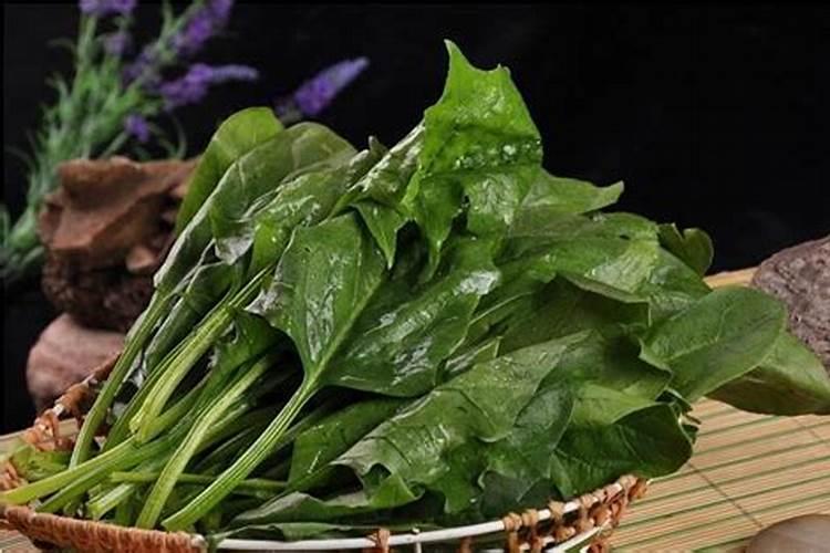 青菜施肥了几天后可以吃