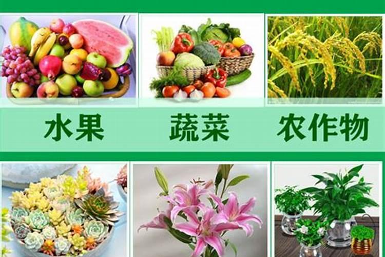 微量元素和大量元素的区别划分依据