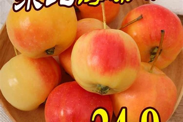 苹果树要怎样施肥？
