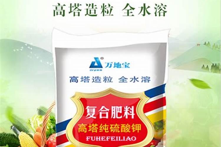 鱼蛋白叶面肥的五个最佳选择