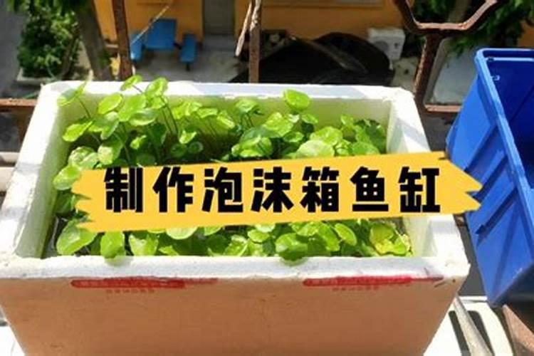池塘施肥的方法
