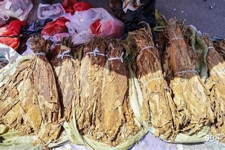 上千万的蔬菜大棚有哪些