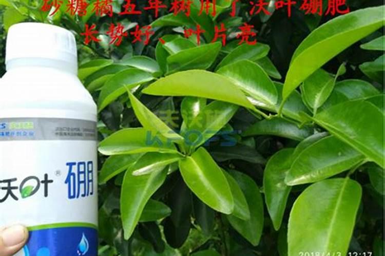 烟草缺素是什么原因？种植户该怎么预防和治理？