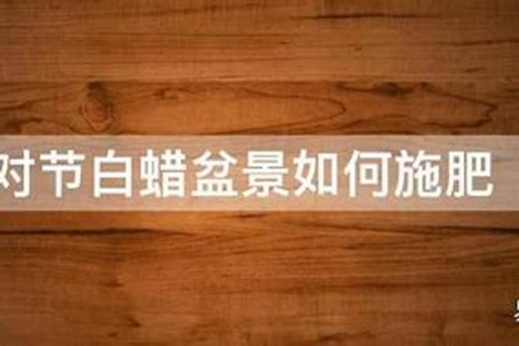 月季长出小花苞了应该怎样施肥呢？