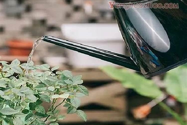 阿司匹林能与磷酸二氢钾混用吗？