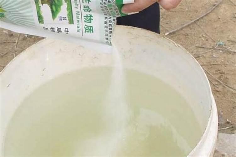 西瓜长不大,到底因为啥