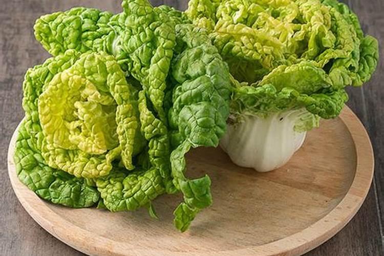 黄心菜种植时间和方法用肥量