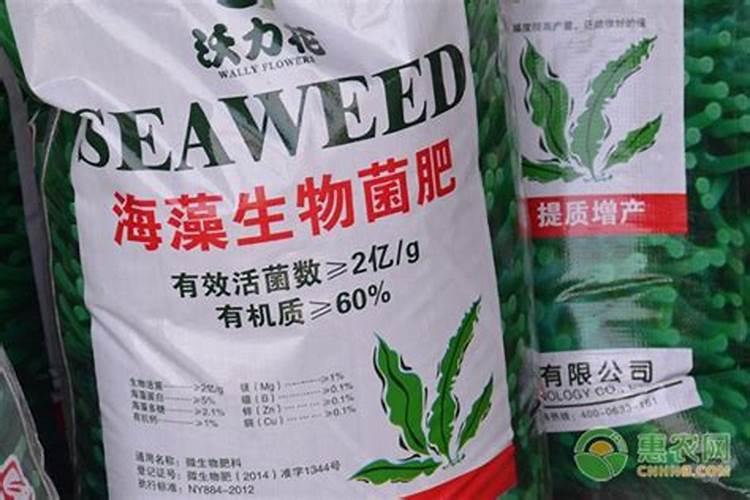 海南瓜施肥是什么肥料