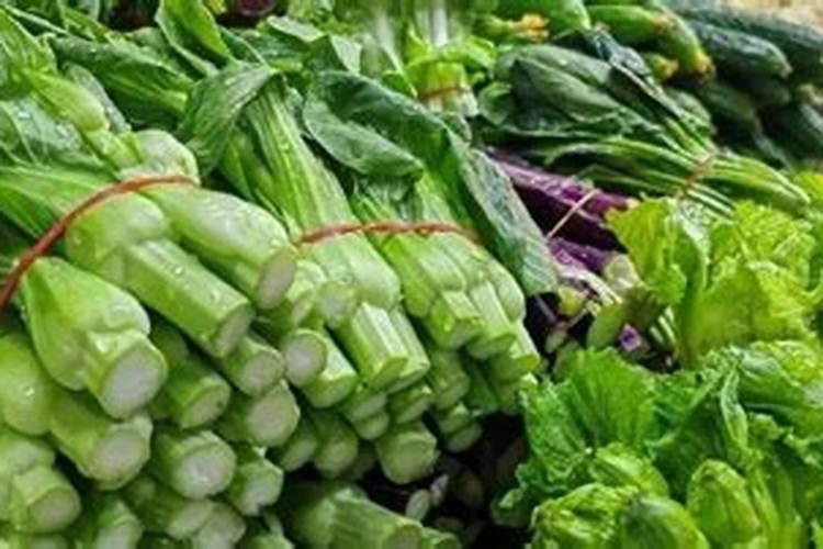 青菜有虫用什么方法可以杀虫