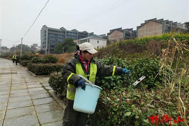 雨季施肥方法和注意事项 雨季施肥方法和注意事项有什么