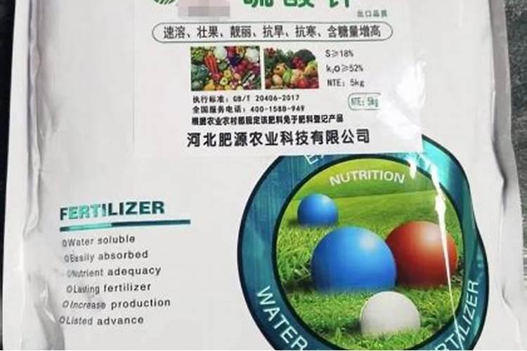 墙上的白灰是什么成分