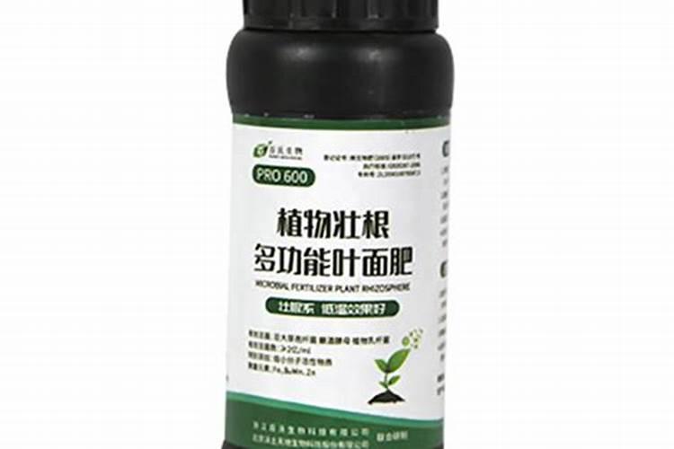 叶面肥哪个厂家最好