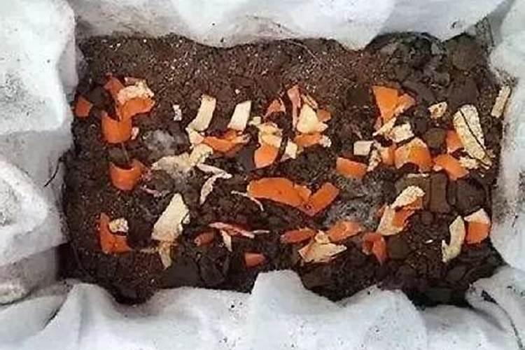 桔子皮能放花盆里做肥料吗