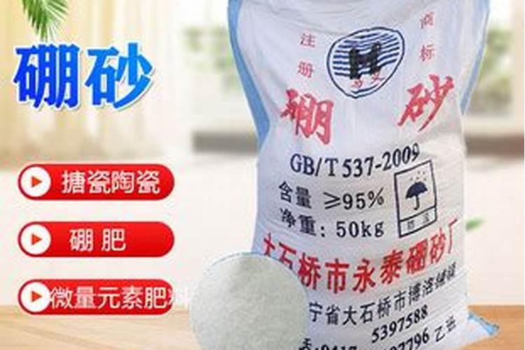 毛鹃叶子发黄怎么治疗