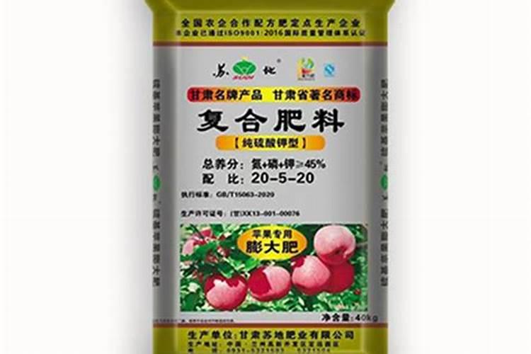 秋天如何给月季浇水做好以下4点即可