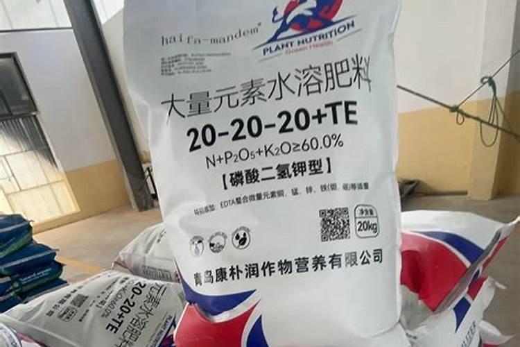 多肉植物需不需要施肥 施肥的方法是什么