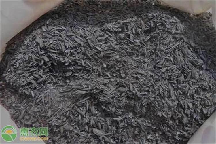 草木灰是什么肥料 草木灰可以直接拌土用养花吗