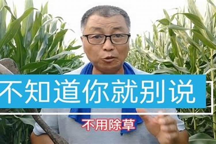 立过秋后桃树用不用打叶面肥