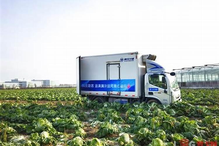 四川魔方生态农业开发有限公司怎么样？