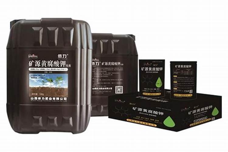 富贵竹多久换一次水？富贵竹换水方法介绍,值得收藏哦!