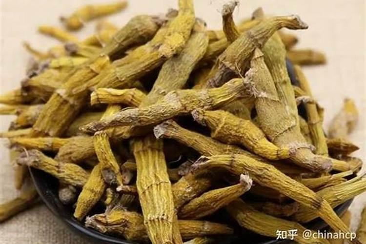 金钗石斛开花后怎么养 石斛开花后怎样管理