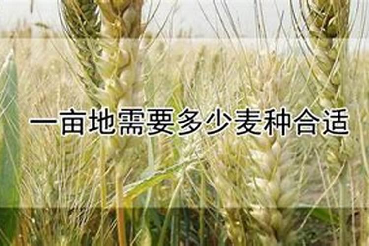 钾肥一亩地上多少